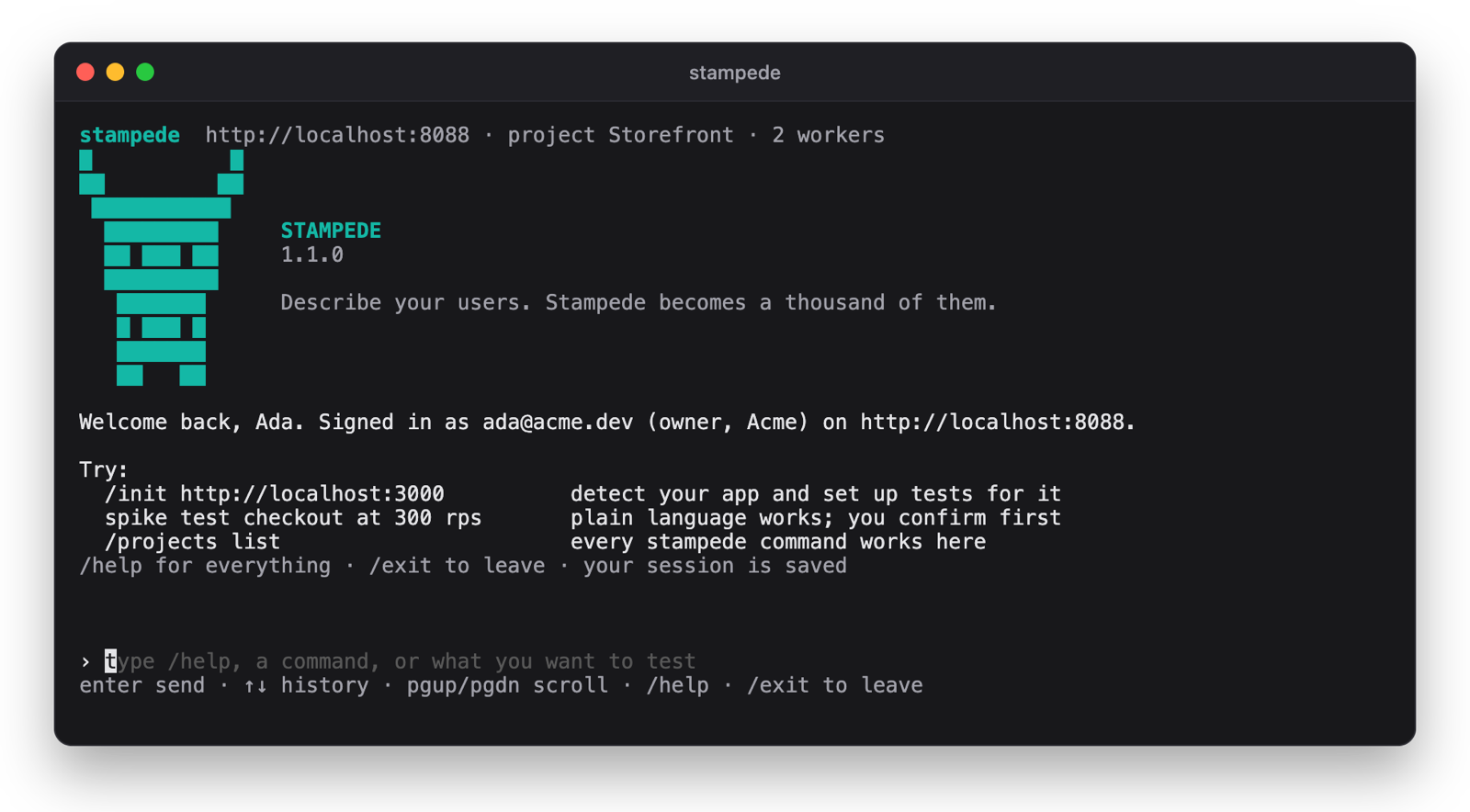 The Stampede console: the teal block-art bull, a welcome naming the signed-in user, server and project, and suggested first commands
